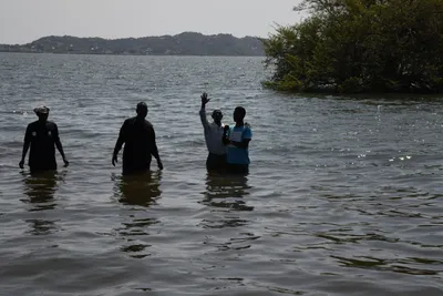 DSC_3324 (Large).JPG